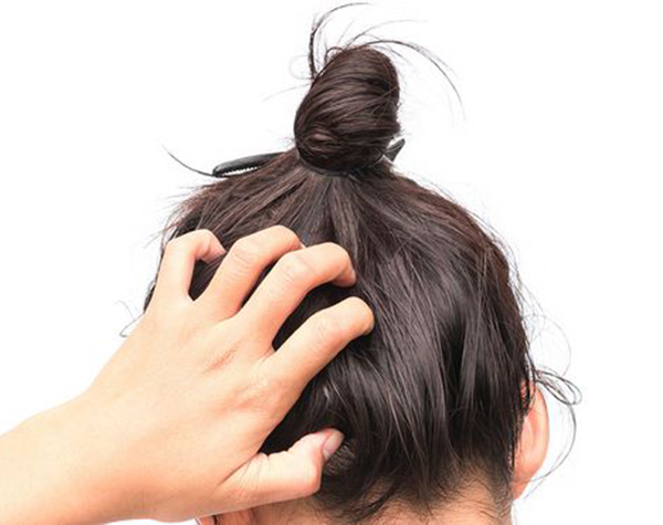 養(yǎng)腎補(bǔ)氣血是增強(qiáng)發(fā)質(zhì)的中醫(yī)的好方法